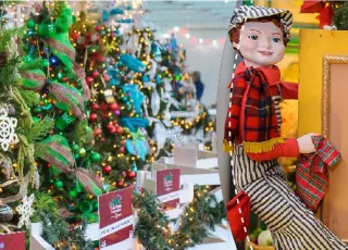 Arbres de Noël et exposition de Woodwards